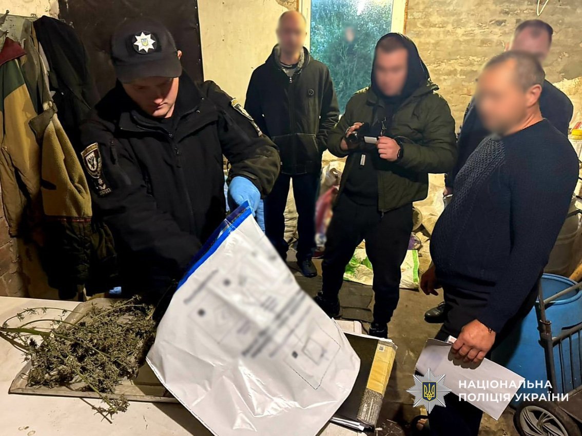 На Прилуччині поліцейські вилучили наркотики, понад десяток кущів конопель і гранату