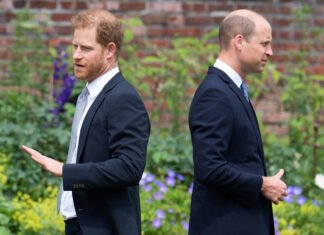 Принц Уильям наконец согласился встретиться с братом Гарри: но только при одном строгом условии — чего он хочет