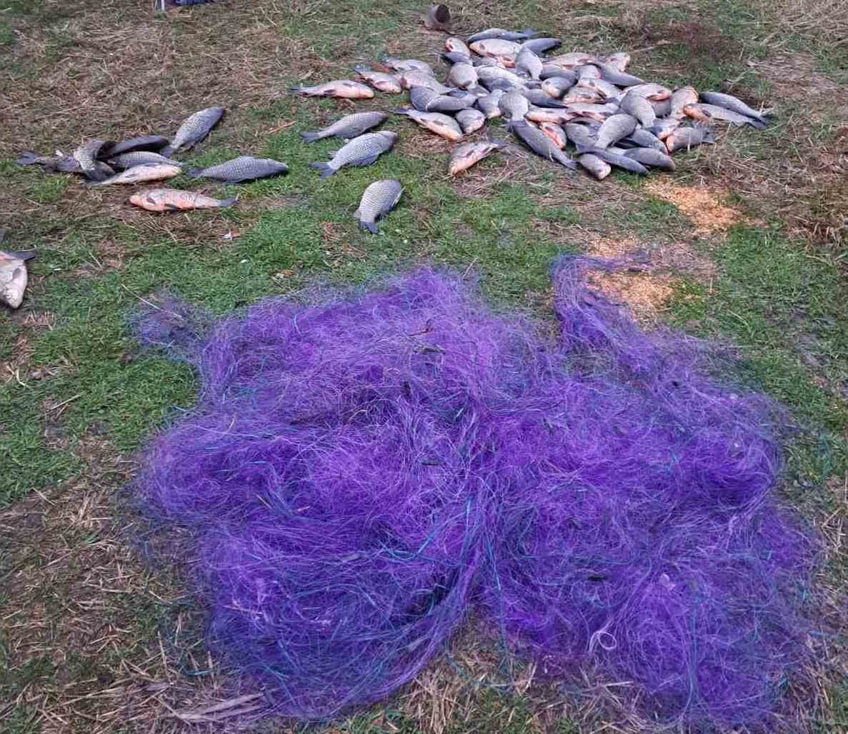 77 сріблястих карасів та 2 лящі: браконьєр на Чернігівщині нарибалив на понад 125 тисяч гривень