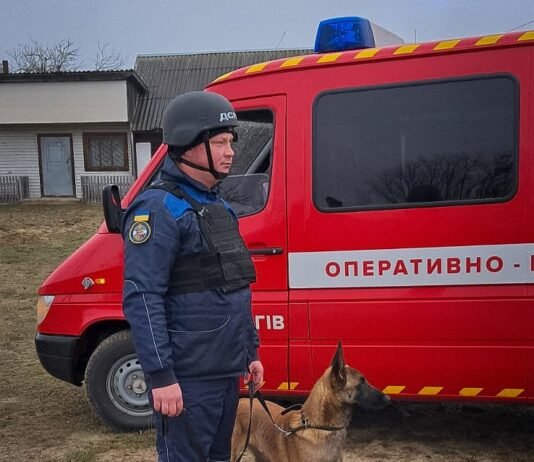 Пішла гуляти з собакою та додому не повернулася: на Чернігівщині розшукали зниклу 74-річну жінку