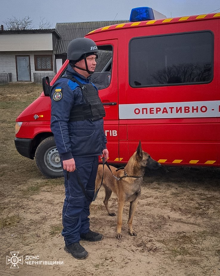 Пішла гуляти з собакою та додому не повернулася: на Чернігівщині розшукали зниклу 74-річну жінку