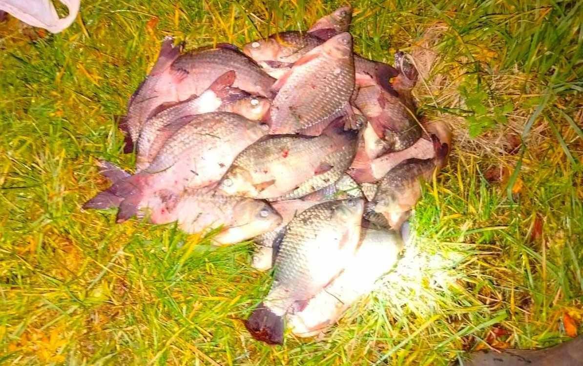 На Чернігівщині у браконьєра вилучили 31 карася сріблястого. Збитки – майже 50 тисяч гривень
