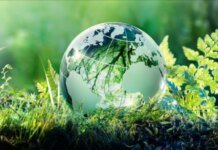 Всесвітній день екології, День всіх святих та День народження ЄС: що ще відзначають 1 листопада