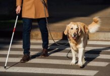 Міжнародний день сліпих та Всесвітній день доброти: що відзначають 13 листопада