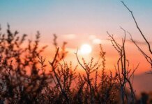 Україну очікує мінлива хмарність та потепління до +13° — Гідрометцентр