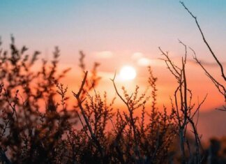 Україну очікує мінлива хмарність та потепління до +13° — Гідрометцентр