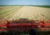 Жнива-2025: Україна зібрала близько 48 млн тонн зерна з 84% засіяних полів