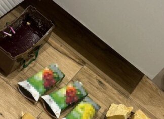 СБУ викрила агентурну мережу рф, яка готувала схрони з комплектуючими до вибухівки на заході України