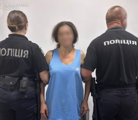 На Чернігівщині жінка під час сварки вдарила співмешканця ножем – справу передали до суду