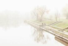 На Чернігівщині очікується густий туман – попередження І рівня небезпечності