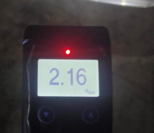 Алкоголь у крові майже в 11 разів перевищив норму: на Чернігівщині водія відсторонили від керування