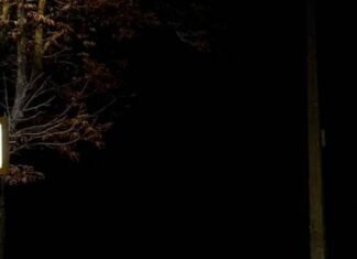 У Чернігові 48 світлофорів вже обладнані резервним живленням