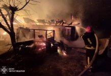 Через коротке замикання на Ніжинщині загорілася господарча будівля: загинуло 30 голів птиці та 12 кролів