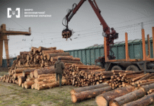 Бюро экономических расследований разоблачило схему контрабанды 17 вагонов деловой древесины