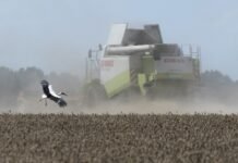 Фермер из Херсонской области первым получил почти 5 млн грн компенсации за разминирование