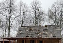 На Чернігівщині внаслідок обстрілу пошкоджено мисливський будиночок лісництва