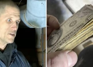 Мужчина купил дом и нашел в подвале $10 тысяч: кому достались деньги (фото)