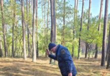 На Чернігівщині за добу рятувальники ліквідували 9 пожеж і врятували двох людей