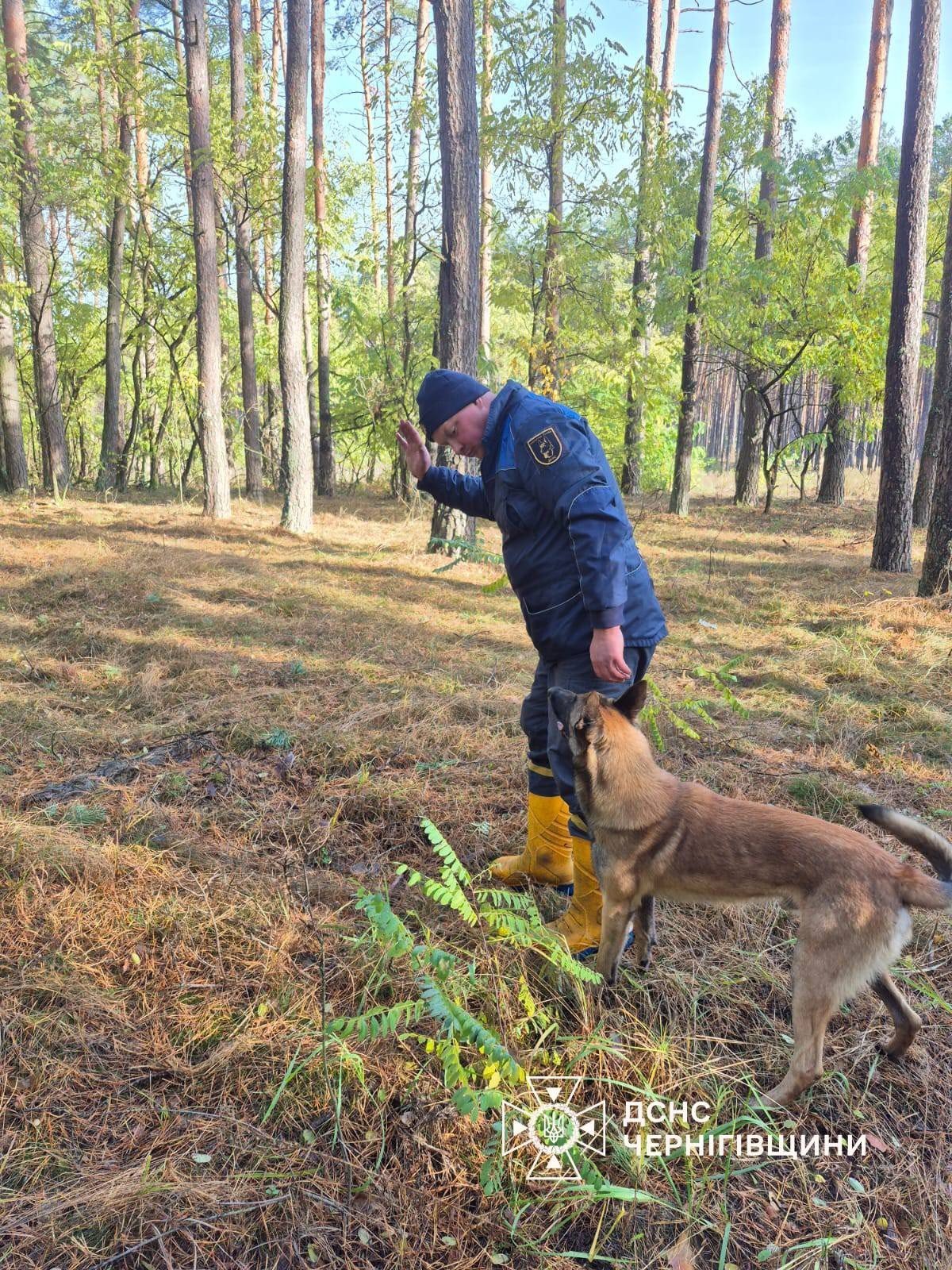 На Чернігівщині за добу рятувальники ліквідували 9 пожеж і врятували двох людей