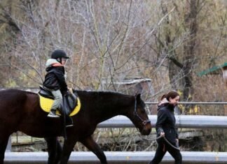 Іпотерапія та дружня атмосфера: родини загиблих Героїв відвідали кінний клуб у Чернігові