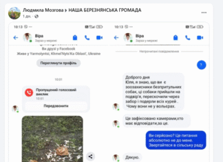 Нічийні собаки подерли курей: чи була ситуація в селищі на Чернігівщині