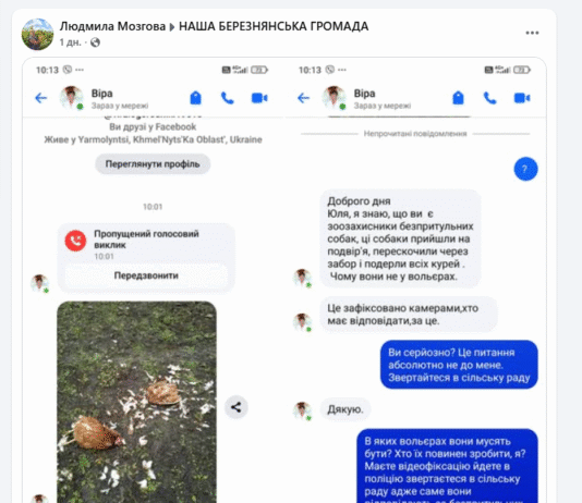 Нічийні собаки подерли курей: чи була ситуація в селищі на Чернігівщині