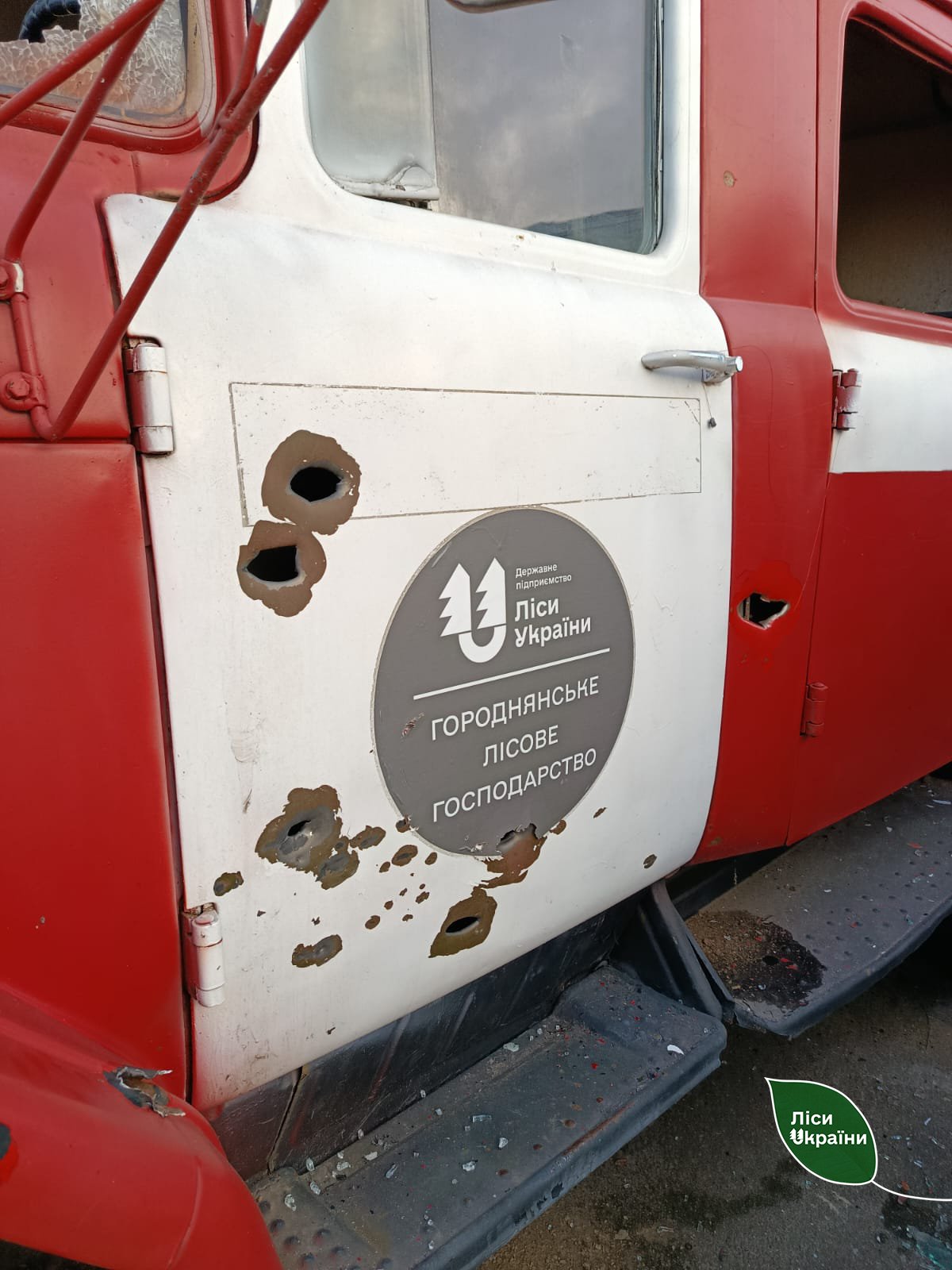 На Чернігівщині безпілотник влучив у нижній склад надлісництва (Фото)