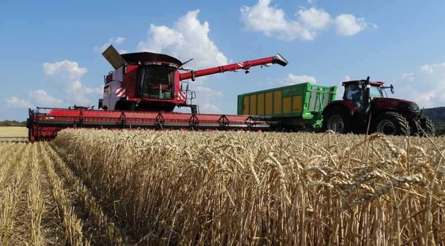 Чернігівщина серед лідерів за врожайністю зернових