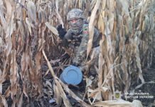 У двох районах Чернігівщини знайшли уламки збитих безпілотників