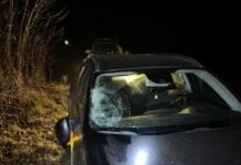 Йшла по проїжджій частині: у Ніжині на Чернігівщині легковик насмерть збив пенсіонерку