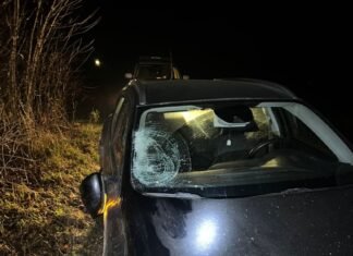 Йшла по проїжджій частині: у Ніжині на Чернігівщині легковик насмерть збив пенсіонерку