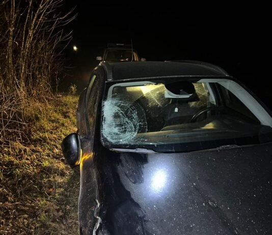 Йшла по проїжджій частині: у Ніжині на Чернігівщині легковик насмерть збив пенсіонерку