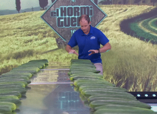 Мужчина, который любит хрустеть огурцами, установил необычный мировой рекорд (видео)