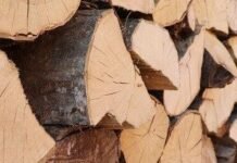 Житель Чернігівщини через інтернет заплатив шахраям за дрова 16 тисяч гривень