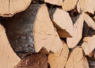 Житель Чернігівщини через інтернет заплатив шахраям за дрова 16 тисяч гривень