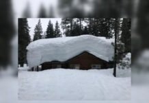 Смешно и грешно: 10 самых забавных зимних фейлов на фото