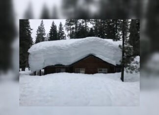 Смешно и грешно: 10 самых забавных зимних фейлов на фото