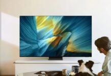 Лучшие телевизоры, проекторы и мониторы в 2026 году: какие модели советуют купить эксперты