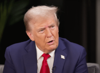 «Зеленский должен быть реалистом»: Трамп заявил, что украинцы хотят выборов и мирного соглашения (видео)