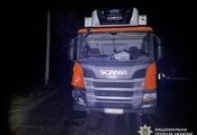 Смертельна ДТП на Чернігівщині: під колесами вантажівки загинув пішохід