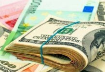 Долар та євро втрачають позиції: НБУ встановив курс на 15 грудня