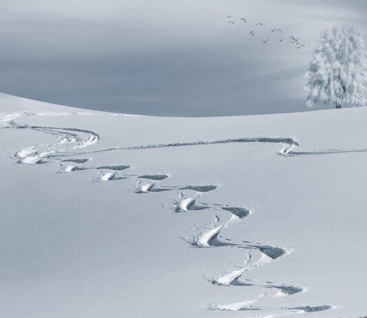 Сніг повертається, але лижний сезон запізнився: якою буде погода в Карпатах на свята і чи зміняться ціни на житло