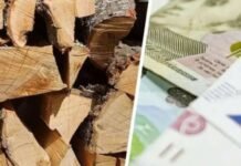 Родичи у списках та люди без пічного опалення: на Чернігівщині посадовицю підозрюють у махінаціях з твердим паливом