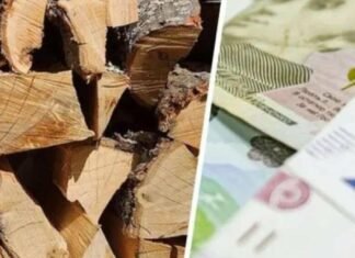 Родичи у списках та люди без пічного опалення: на Чернігівщині посадовицю підозрюють у махінаціях з твердим паливом