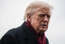 Трамп помиловал финансиста Дэвида Джентиле, осужденного за мошенничество