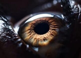 Найдена странная причина того, почему люди моргают: это нужно не только для увлажнения глаз