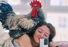 Домашний любимец: украинка держит петуха в доме вместо кота или собаки (видео)