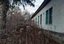 Чи є занедбана будівля маєтком: ситуація в громаді на Чернігівщині
