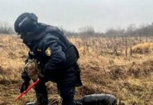 5 вибухонебезпечних предметів: як минула доба в ДСНСників Чернігівщини