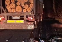 На Чернігівщині сталася смертельна ДТП: водій тягача збив велосипедиста